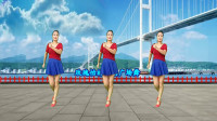 dj版广场舞大全《套马杆》好看又好学附教学