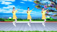 最新dj广场舞视频大全《风中的花蝴蝶》动感