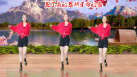 抖音上很火的广场舞《发了疯的想拼了命的忘
