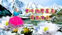 简单易学的广场舞瘦腰减肥操《梦中的雪莲花