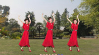 广场舞视频大全免费下载高清《两情相依心好