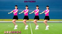 dj广场舞视频大全2020《我们相遇那么美》动
