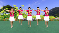广场舞下载大全mp4免费下载《美丽的遇见》1