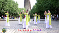 玲珑广场舞《亚丽古娜》轻松欢快舞姿俏皮好