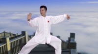 柴云龙精读24式太极拳 演练全套动作 视频在线观看下载