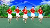 广场舞视频大全免费下载mp4《等到花儿开》
