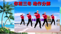 广场舞视频免费下载网站《你若三冬》口令慢