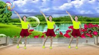 广场舞视频大全免费下载高清《是酒也是泪》