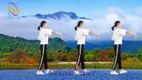 广场舞视频免费下载网站《爱不停息》附背面