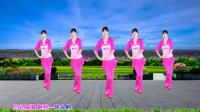 广场舞视频免费下载网站《摘石榴》简单易学
