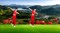 广场舞视频大全免费下载高清《山谷里的思念