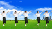 广场舞视频大全免费下载高清《凋落的温柔》