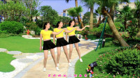 广场舞视频mp4免费下载《留不住的人就别再