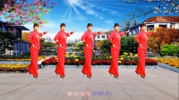 广场舞视频大全mp4下载《摇摆哥》动感DJ版 