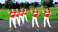 广场舞视频mp4免费下载《最炫民族风》节奏