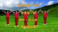 广场舞视频大全免费下载高清《不白活一回》