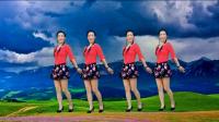 广场舞视频大全mp4下载《情为何物》优美抒