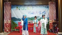 锡剧视频mp4免费下载《探病》吴国英  陈美