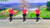 玫香广场舞《想妈妈》歌声优美动听简单好看
