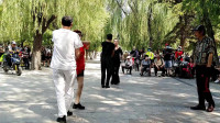 广场舞视频大全健身舞《呼伦贝尔大草原》简