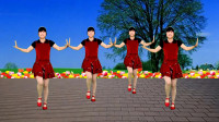 广场舞教程视频大全下载《花开情脉脉》歌曲