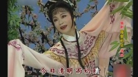 锡剧视频mp4免费下载《庵堂相会今日清明雨初晴》卞雁敏演唱下载