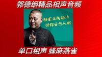 《蜂麻燕雀》郭德纲单口相声音频mp3在线听 