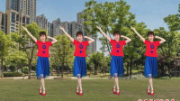 2020年最新网红广场舞《谢谢你来过我的人生