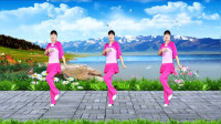 dj广场舞视频大全2020《女人不懂男人的累》