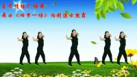 广场舞教学视频基础步《旧梦一场》步子舞简