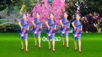 dj广场舞教学视频《凤凰花开》精彩时尚越看