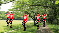 2020年最新广场舞视频《家在御江南》一夜之