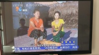 二人转电视系列短剧 戏说关东趣事之《不孝