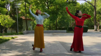 广场舞视频大全免费下载mp4《板蓝花儿开》