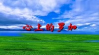 抖音上很火的广场舞《心上的罗加》旋律优美