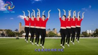 广场舞视频大全免费下载mp4《军中绿花》简