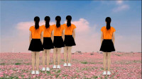 广场舞教学视频《妹妹的山丹花》简单时尚火
