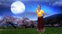 2020年最新广场舞视频《月光下的梦恋》藏舞
