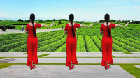 抖音上很火的广场舞《妹妹爱上庄稼汉》优美