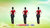 广场舞健身操减肥操下载《一生最爱的是你》