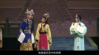 淮剧大全淮剧全场视频免费下载《狸猫换太子