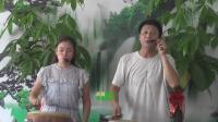 澧州大鼓《母子逃难》第2集高清视频mp4免费