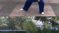 二十四式混元太极拳 视频mp4免费下载