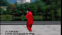李德印40式杨式太极拳教学视频mp4免费下载下载