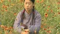 沂蒙小调全集大全下载 《 春香传3》视频mp4