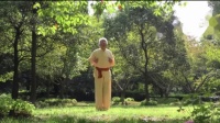 古本易筋经十二势导引法 视频mp4免费下载