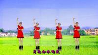 2020年最火的广场舞《拉萨夜雨》高清视频mp