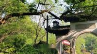 淮剧下载mp4免费下载《 赵五娘 看吧榜文心高兴》陈德林 黄素萍演唱下载