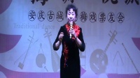 黄梅戏视频免费下载网站《女驸马》选段《春