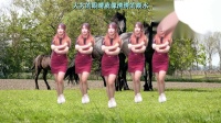 2019年最劲爆广场舞dj《姑娘你真美》视频mp